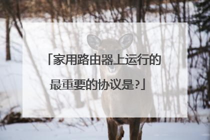 家用路由器上运行的最重要的协议是?