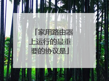 家用路由器上运行的最重要的协议是