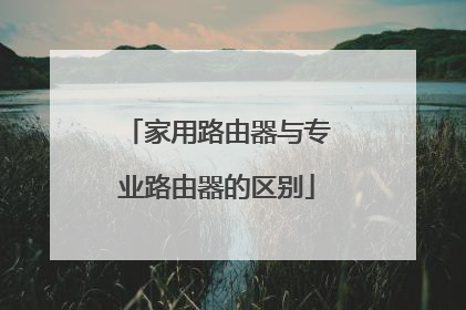 家用路由器与专业路由器的区别