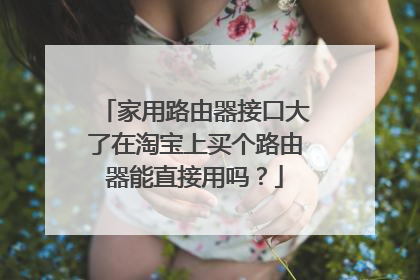 家用路由器接口大了在淘宝上买个路由器能直接用吗？