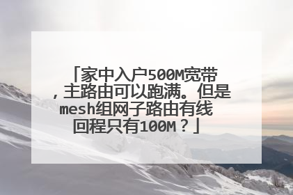 家中入户500M宽带,主路由可以跑满。但是mesh组网子路由有线回程只有100M?