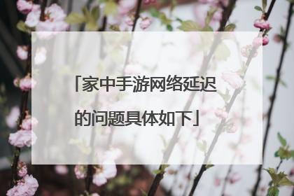 家中手游网络延迟的问题具体如下