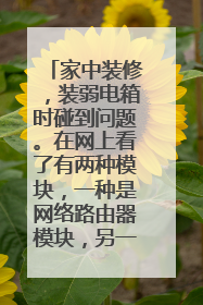 家中装修，装弱电箱时碰到问题。在网上看了有两种模块，一种是网络路由器模块，另一种是网络模块，附图。