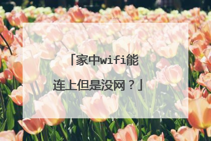 家中wifi能连上但是没网？