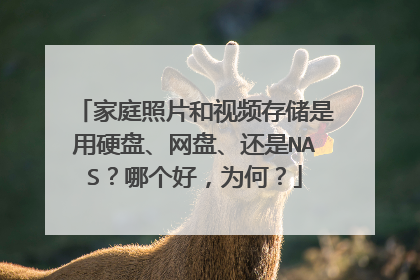 家庭照片和视频存储是用硬盘、网盘、还是NAS?哪个好,为何?