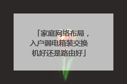 家庭网络布局，入户弱电箱装交换机好还是路由好
