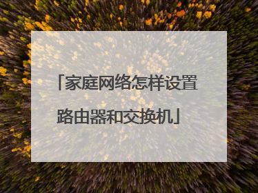 家庭网络怎样设置路由器和交换机