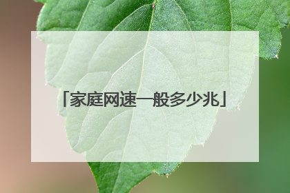 家庭网速一般多少兆