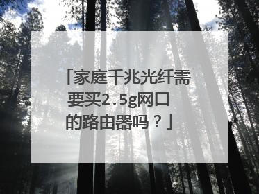 家庭千兆光纤需要买2.5g网口的路由器吗?