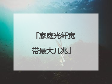 家庭光纤宽带最大几兆