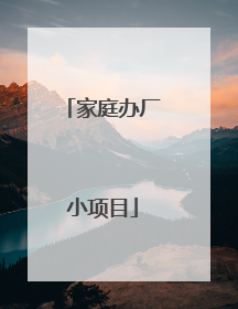 家庭办厂小项目