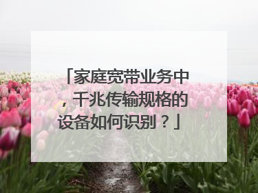 家庭宽带业务中,千兆传输规格的设备如何识别?