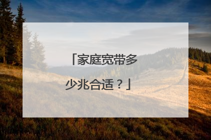 家庭宽带多少兆合适？