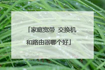 家庭宽带 交换机和路由器哪个好