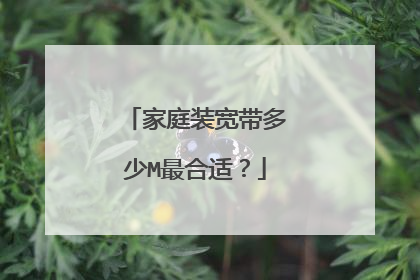 家庭装宽带多少M最合适？