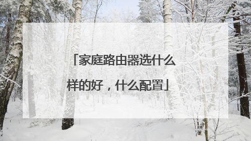 家庭路由器选什么样的好,什么配置