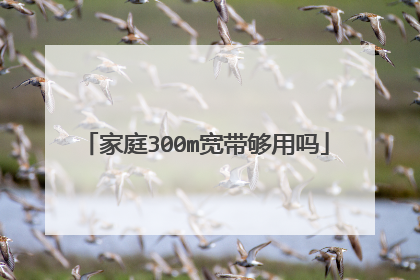 家庭300m宽带够用吗