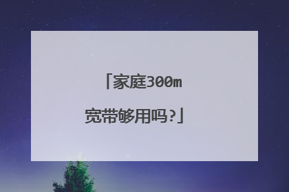家庭300m宽带够用吗?