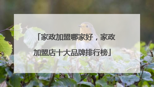 家政加盟哪家好,家政加盟店十大品牌排行榜