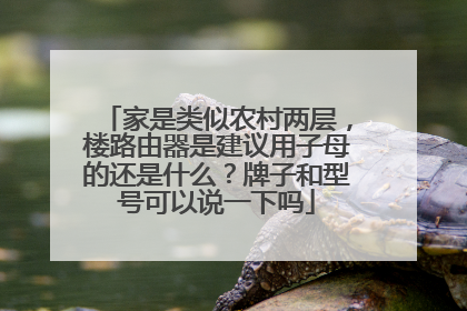 家是类似农村两层，楼路由器是建议用子母的还是什么？牌子和型号可以说一下吗