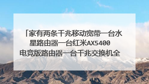 家有两条千兆移动宽带一台水星路由器一台红米AX5400电竞版路由器一台千兆交换机全屋都有网线，如何组网？