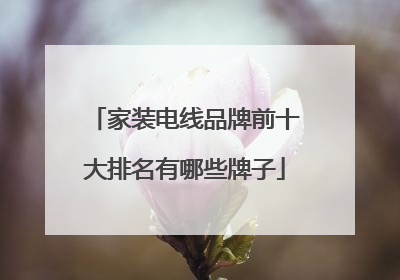 家装电线品牌前十大排名有哪些牌子