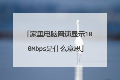 家里电脑网速显示100Mbps是什么意思