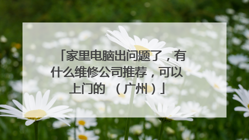 家里电脑出问题了，有什么维修公司推荐，可以上门的 （广州）