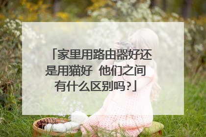 家里用路由器好还是用猫好 他们之间有什么区别吗?
