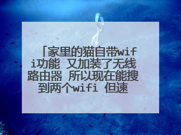 家里的猫自带wifi功能 又加装了无线路由器 所以现在能搜到两个wifi 但速度差异很大