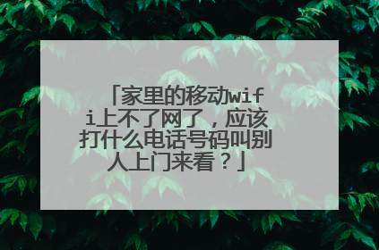 家里的移动wifi上不了网了,应该打什么电话号码叫别人上门来看?