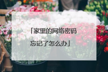 家里的网络密码忘记了怎么办