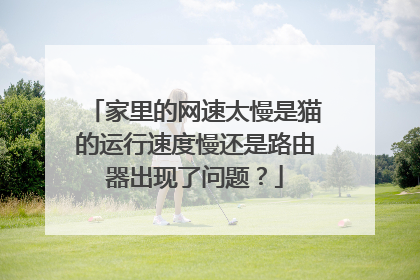 家里的网速太慢是猫的运行速度慢还是路由器出现了问题?