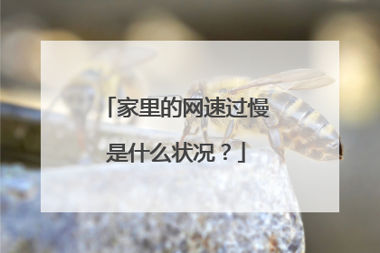 家里的网速过慢是什么状况?