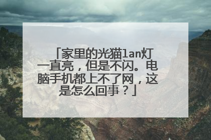 家里的光猫lan灯一直亮，但是不闪。电脑手机都上不了网，这是怎么回事？