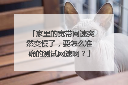 家里的宽带网速突然变慢了,要怎么准确的测试网速啊?