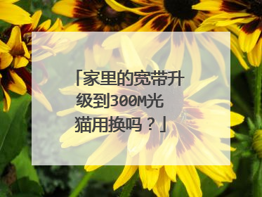 家里的宽带升级到300M光猫用换吗?