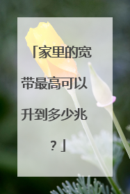 家里的宽带最高可以升到多少兆?