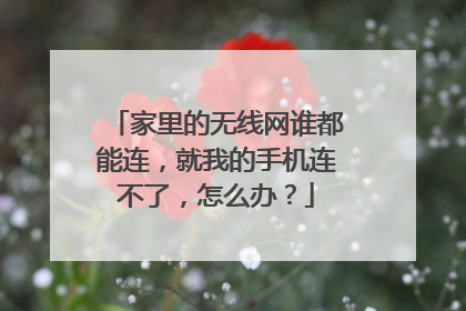 家里的无线网谁都能连，就我的手机连不了，怎么办？