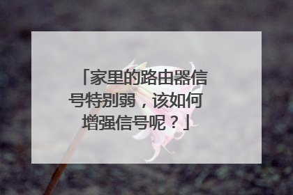 家里的路由器信号特别弱,该如何增强信号呢?