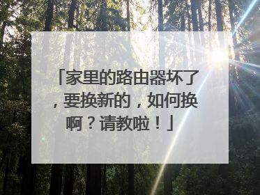 家里的路由器坏了，要换新的，如何换啊？请教啦！