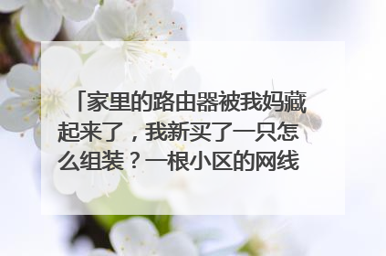 家里的路由器被我妈藏起来了，我新买了一只怎么组装？一根小区的网线，一根双头的连接路由器和主机。该怎