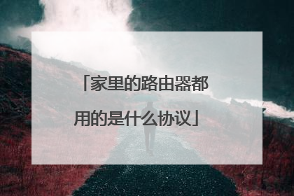 家里的路由器都用的是什么协议