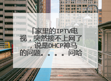 家里的IPTV电视，突然接不上网了，说是DHCP神马的问题。。。。问哈这个DHCP到底是什么啊。
