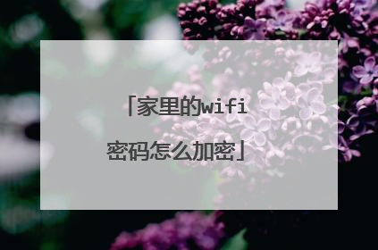 家里的wifi密码怎么加密