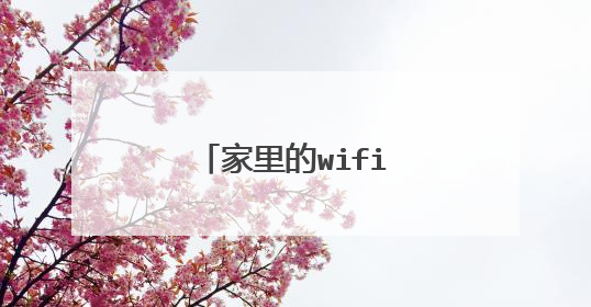 家里的wifi手机能连上但是上不了网怎么办