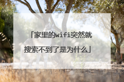 家里的wifi突然就搜索不到了是为什么