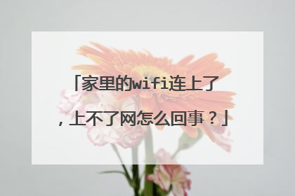 家里的wifi连上了，上不了网怎么回事？