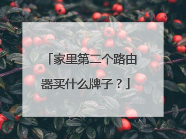 家里第二个路由器买什么牌子?