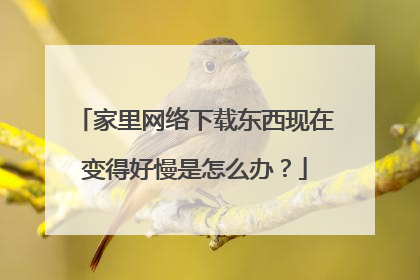 家里网络下载东西现在变得好慢是怎么办?